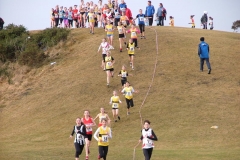 2010 West District XC